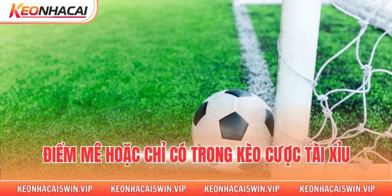Điểm mê hoặc chỉ có trong kèo cược tài xỉu
