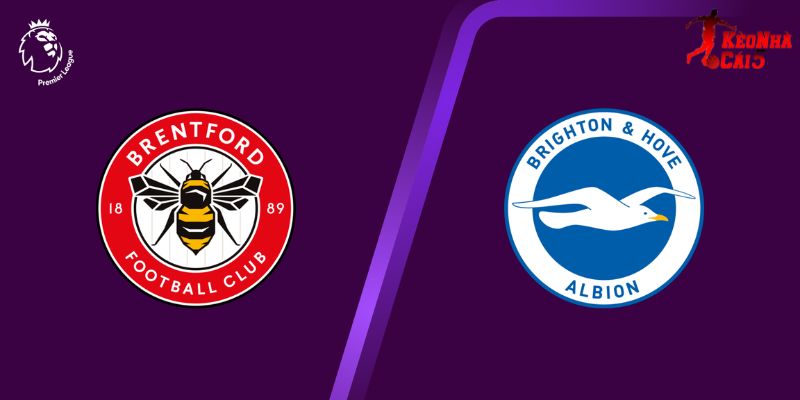 Soi Kèo Brentford Vs Brighton, 22h00 21/02 - Vòng 27 NHA