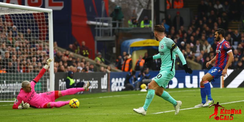 Brighton vs Crystal Palace đều đang nỗ lực cho mục tiêu riêng
