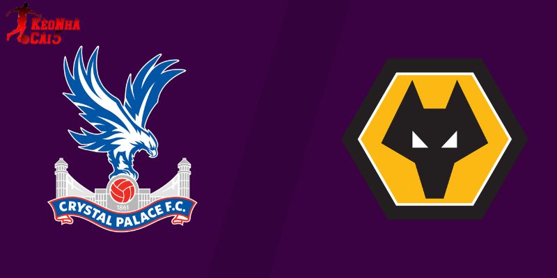 Soi Kèo Crystal Palace Vs Wolves, 21h00 22/02 - Vòng 27 NHA