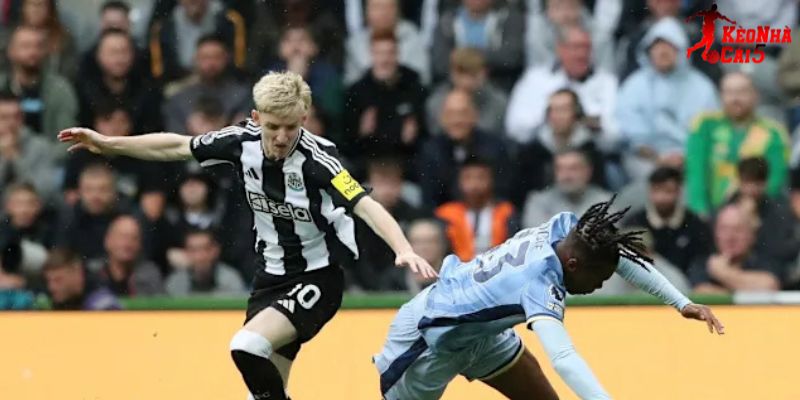 Tottenham vs Newcastle đang rất cần chiến thắng
